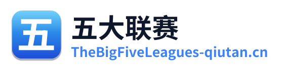 五大联赛